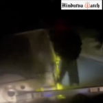 Cow vigilantes dangerously chased a Max Bolero car transporting cattle resulting in an accident and causing injuries to the occupants