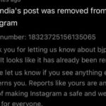 BJP video removed from Instagram after ‘hate speech’ complaints (The Hindu)