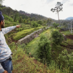 Human activity, natural factors behind Ramban land subsidence, say experts (Tribune India)