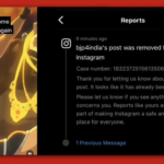 BJP video claiming Cong ‘will snatch wealth’ for Muslims removed from Instagram after backlash (News Laundry)