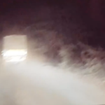 Muslim truck driver assaulted by cow vigilantes