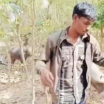Bajrang Dal members harassed a Muslim laborer who was transporting cattle