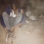 Cow vigilantes gruesomely thrashed a truck driver for transporting cattle in Palwal